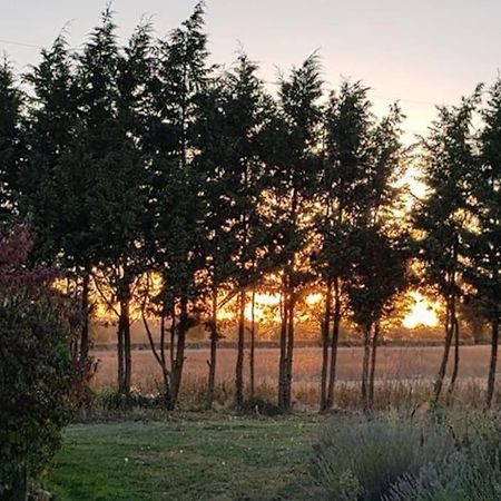 Bed and Breakfast Le Magnoux Peaceful Retreat Amailloux Exterior foto